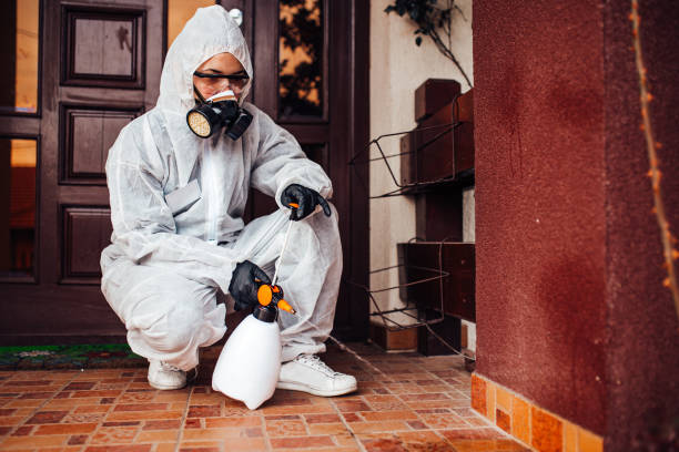 Reliable Bed Bug Control contractor in Evergreen, CO by Nex Pest Control