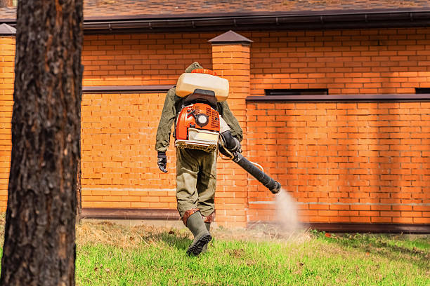 Trusted Ant Control service in Evergreen, CO - Nex Pest Control